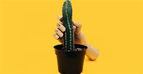 porn quizzes|Quiz: Discover your secret turn.